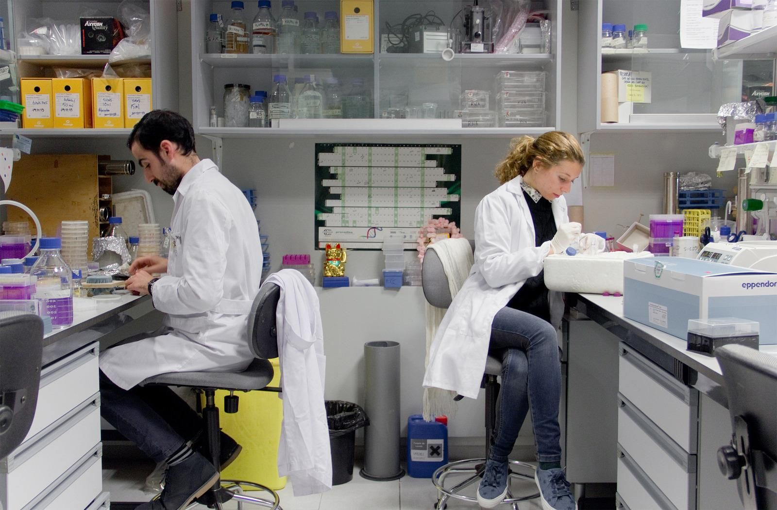 Investigadores del Centro Andaluz de Biología Molecular y Medicina Regenerativa.