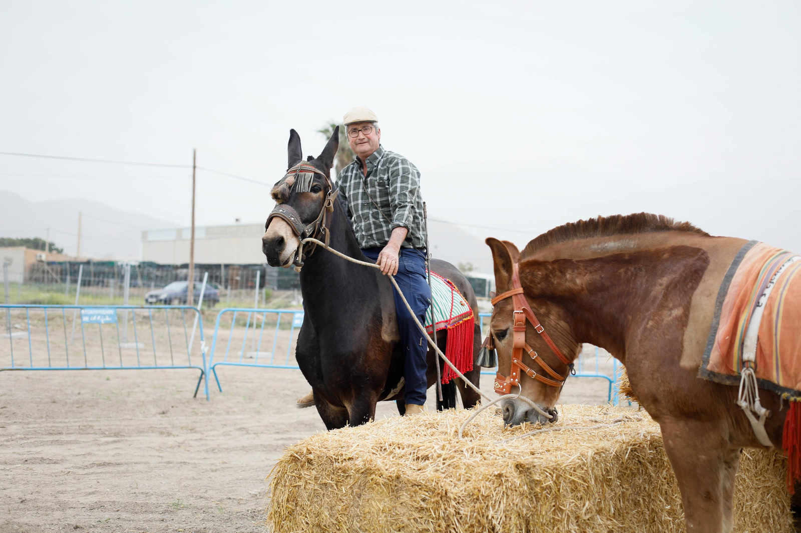 Galería de la Feria  de ganado en Tarambana