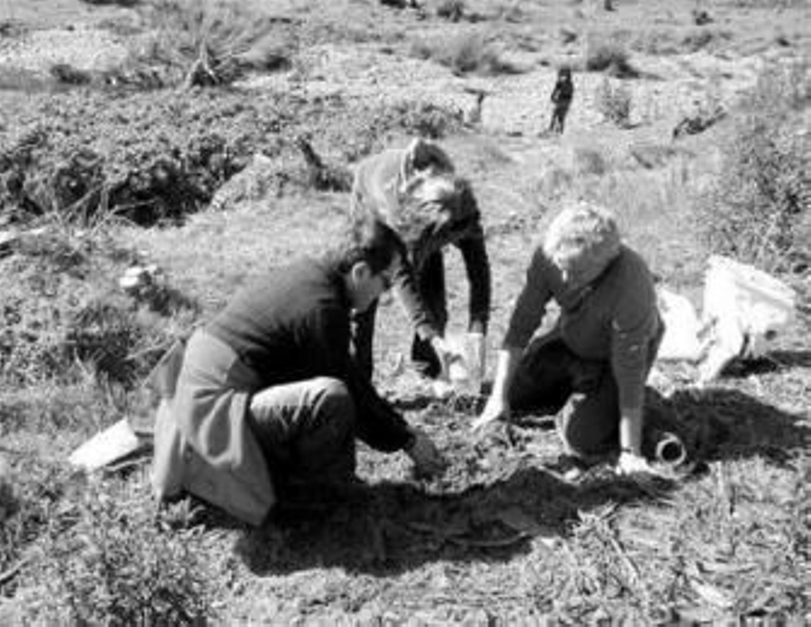 Un momento de la plantación en el 'Monte de los voluntarios'.