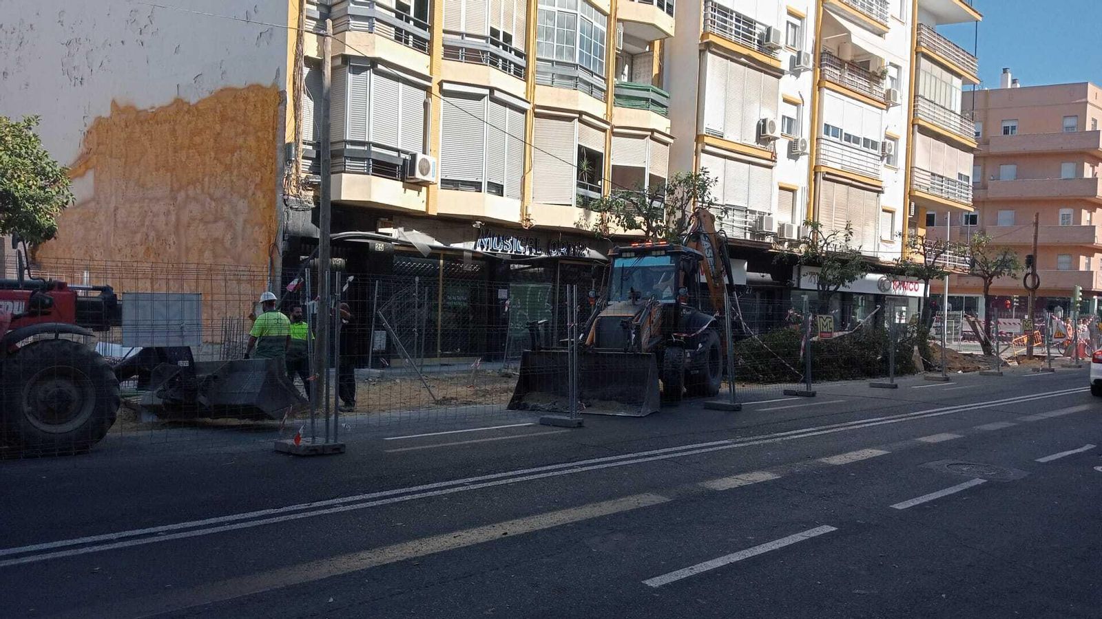 Naranjos afectados por la obra de la Fábrica de Vidrio