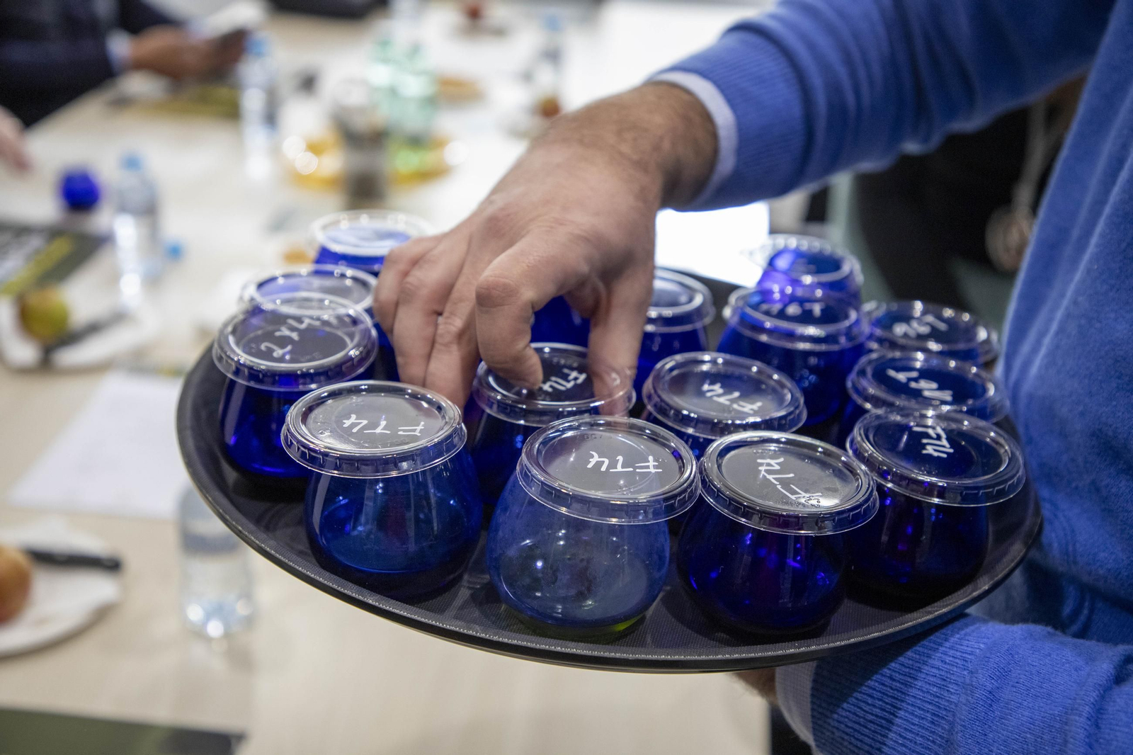 La cata para elegir los mejores aceites de oliva virgen extra de Córdoba, en imágenes