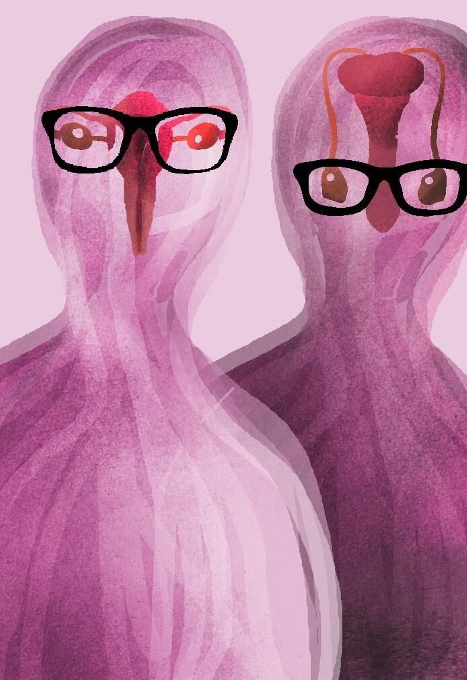 La guerra por los cuerpos