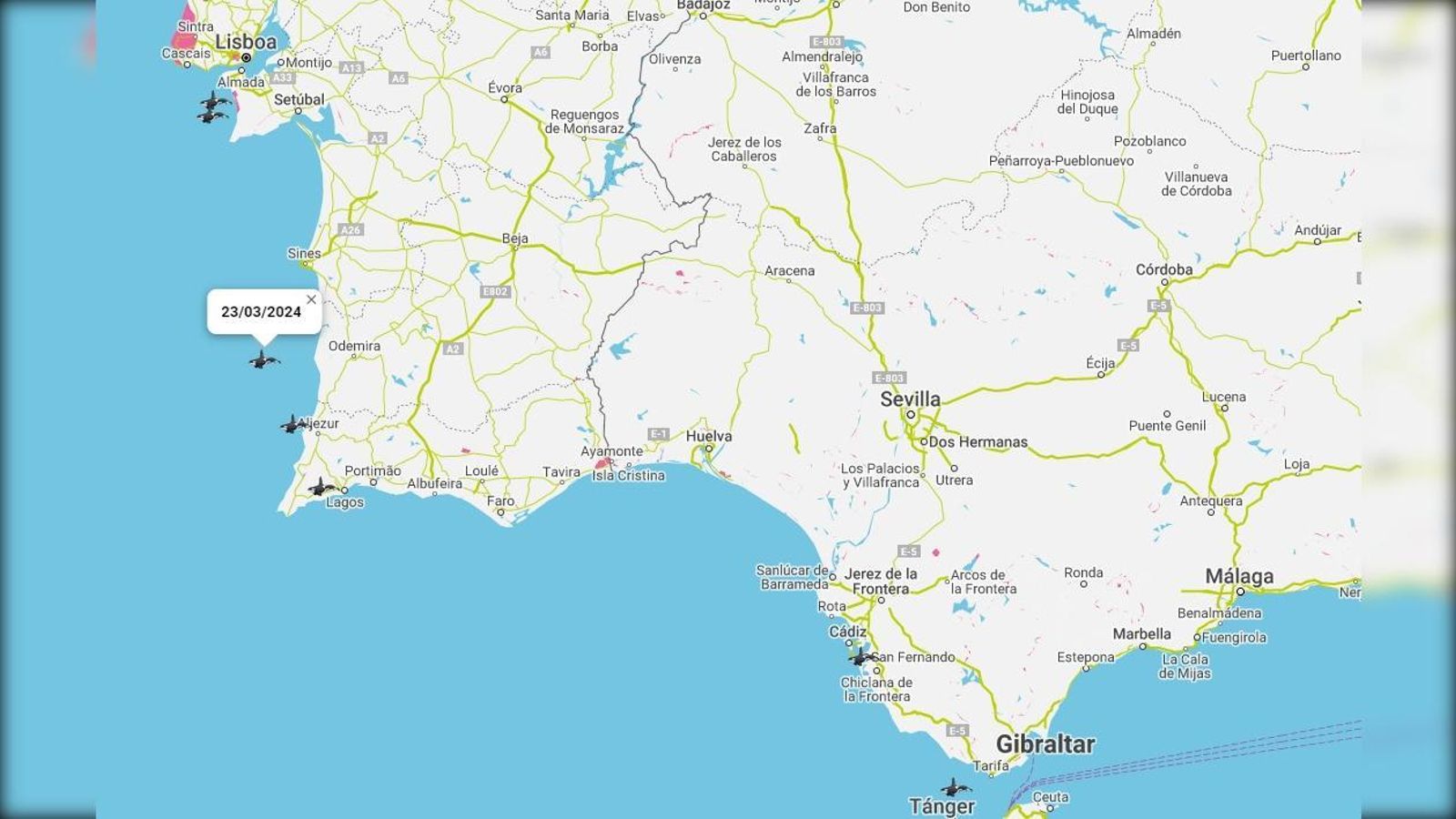 Avistamiento de orcas en las últimas semanas de marzo de 2024.