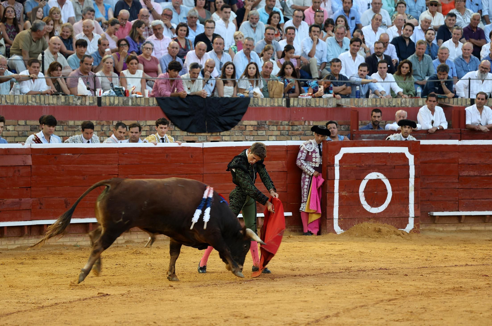 Toros La Merced 2025: Imágenes de la Novillada de Javier Zulueta, Cristian González y Carlos Tirado