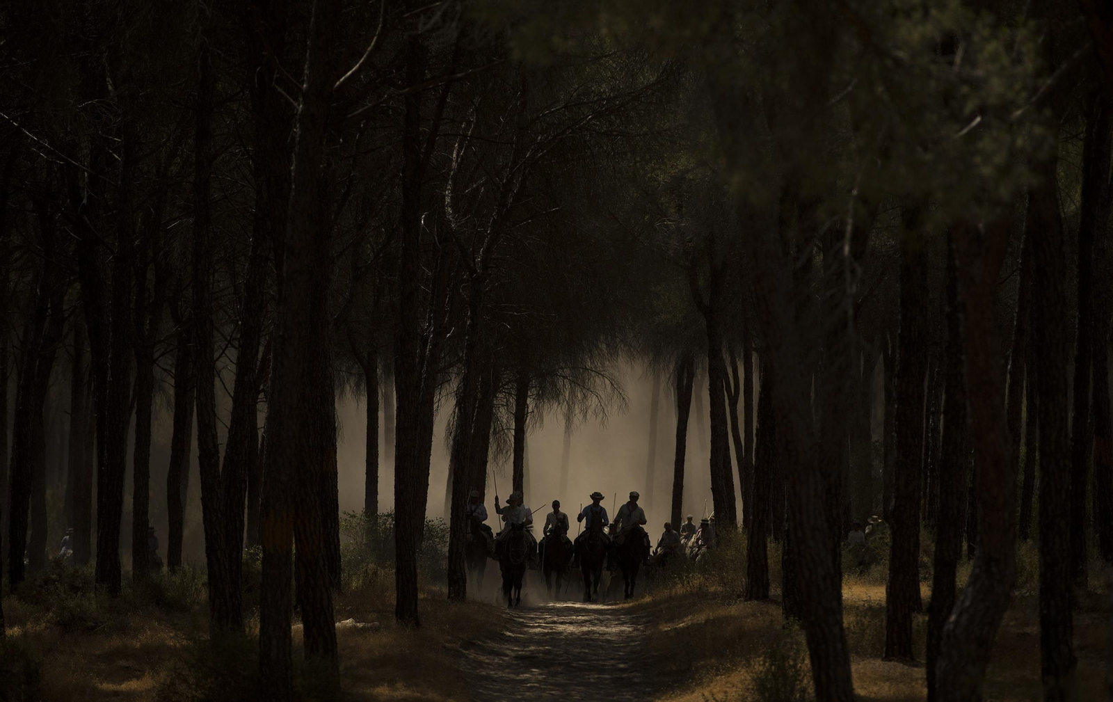 La Saca de las Yeguas, en imágenes