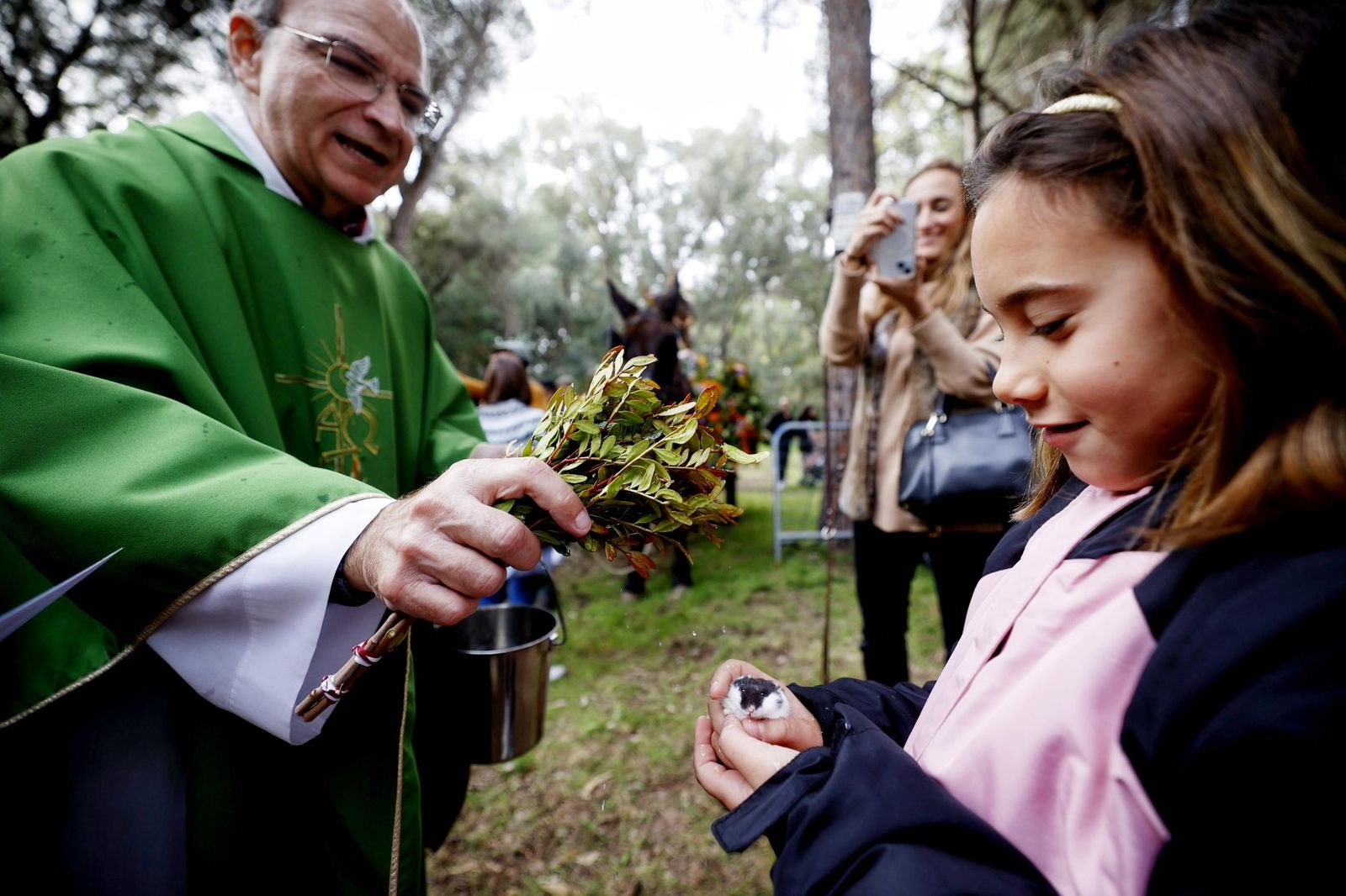 Las imágenes de la festividad de San Antón en El Puerto