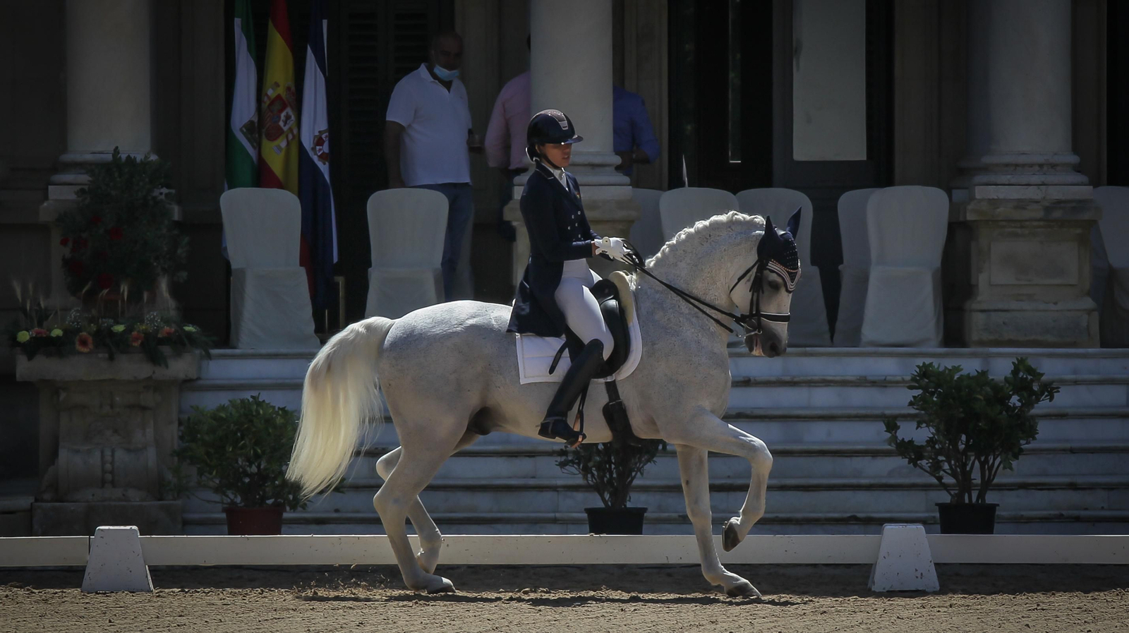 Campeonato de Doma clásica en la Real Escuela