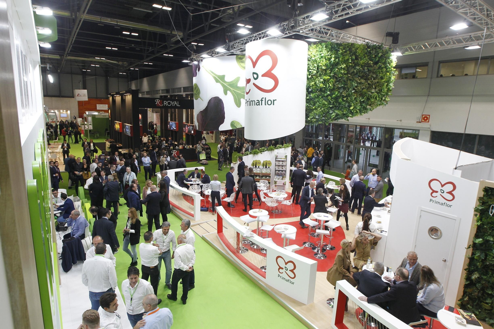 Fotogalería Fruit Attraction 2019. Madrid