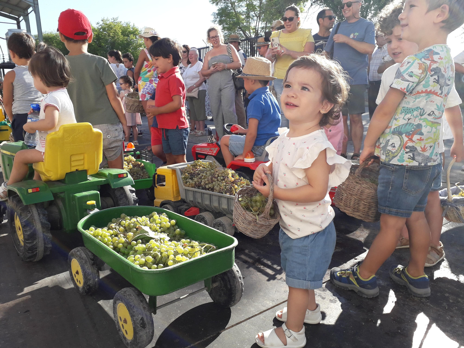 La primera vendimia infantil de Montilla, en imágenes