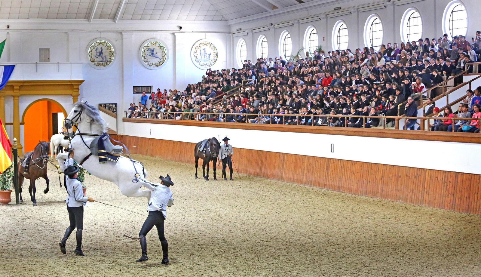 Los caballos de la Real Escuela, durante una actuación.