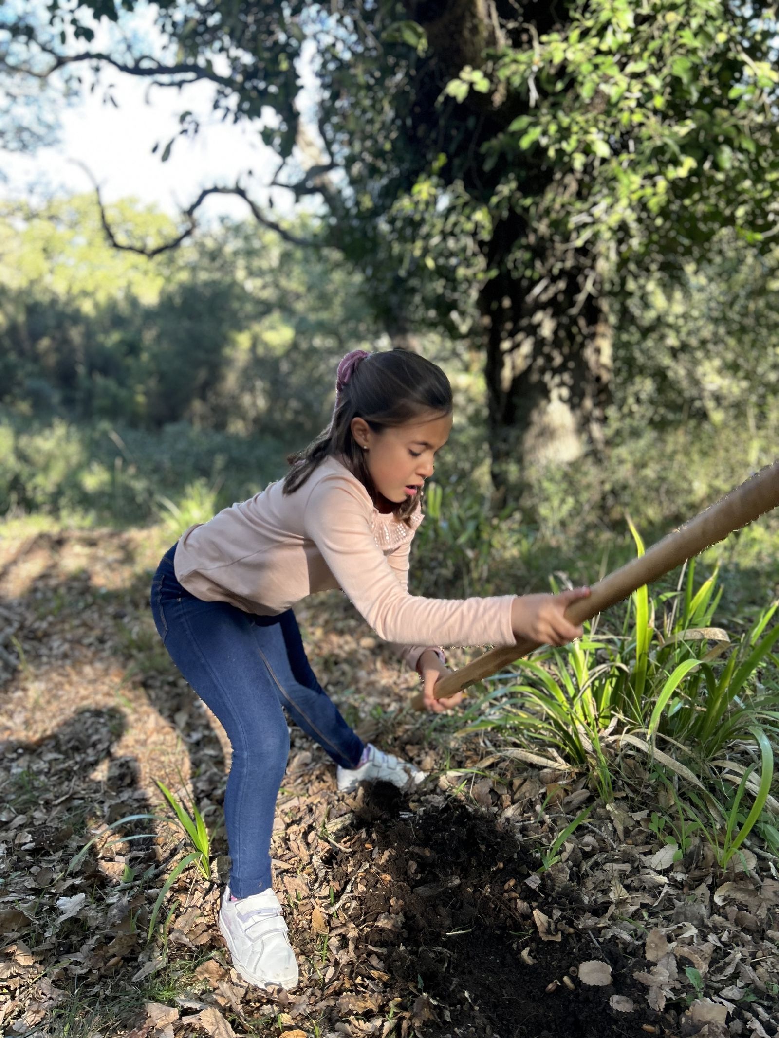 Jornada de reforestación en El Palancar por trabajadores de Acerinox, en imágenes