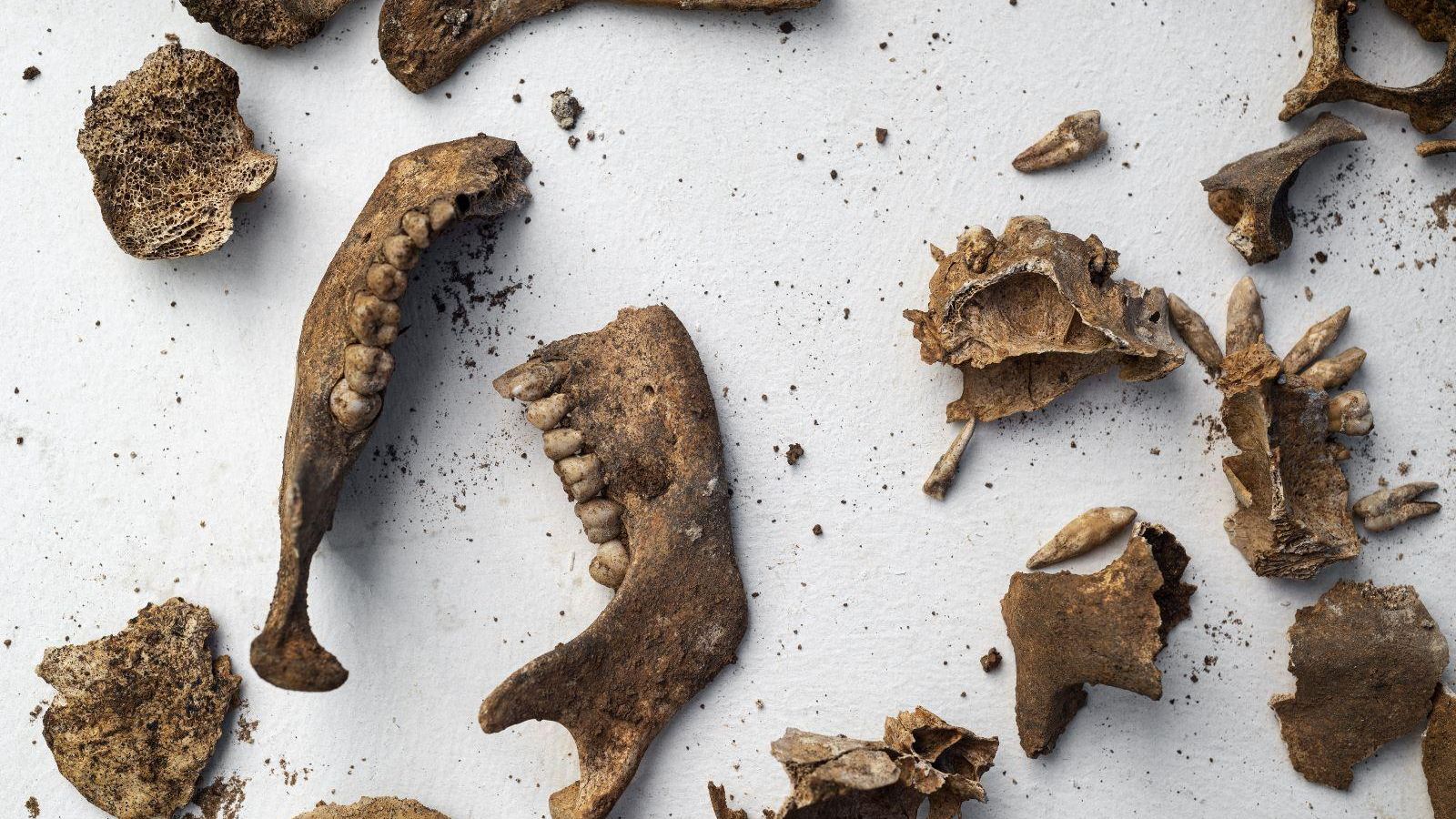 Fosa de San Juan del Puerto.