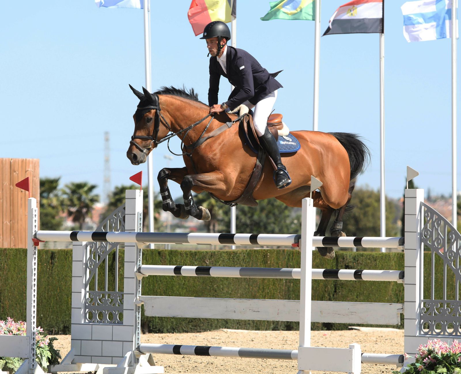 Gonzalo Busca Roca y Brasilia