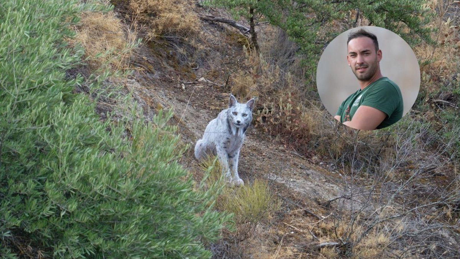 El lince blanco de Jaén y el autor de la fotografía, Ángel Hidalgo.