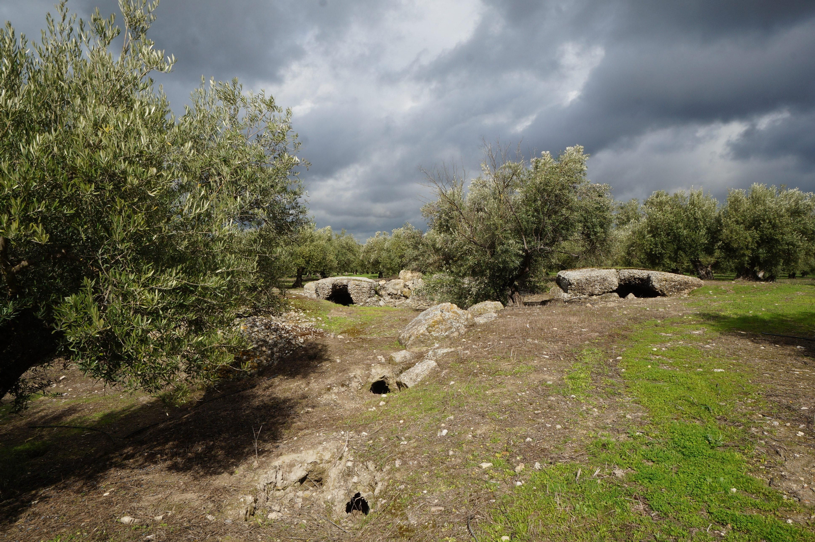Los silos romanos del Carchena en Castro del Río, en fotografías