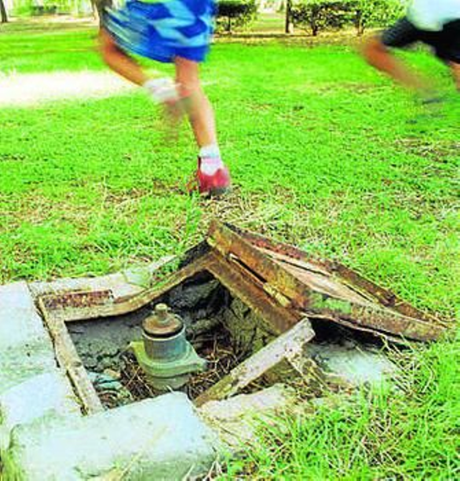 Deterioro del sistema de riego actual.