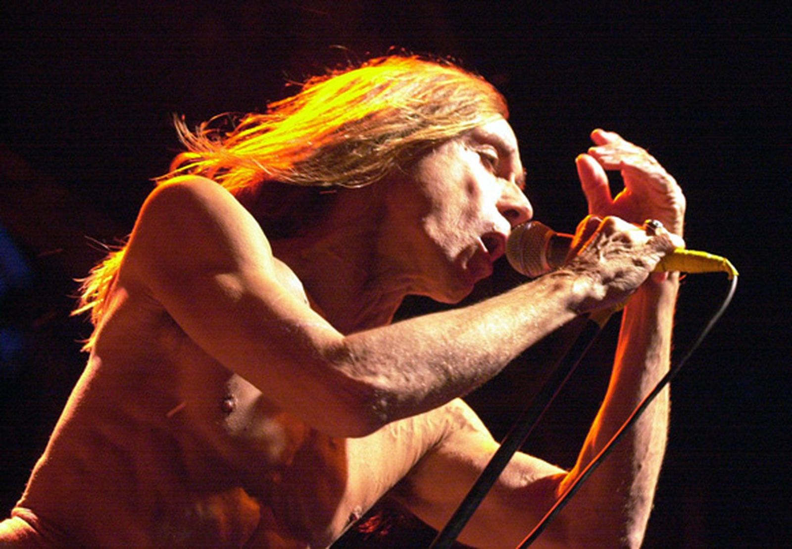 Iggy and The Stooges, Mad Professor y Kiko Veneno se suman a la XV edición del festival Territorios