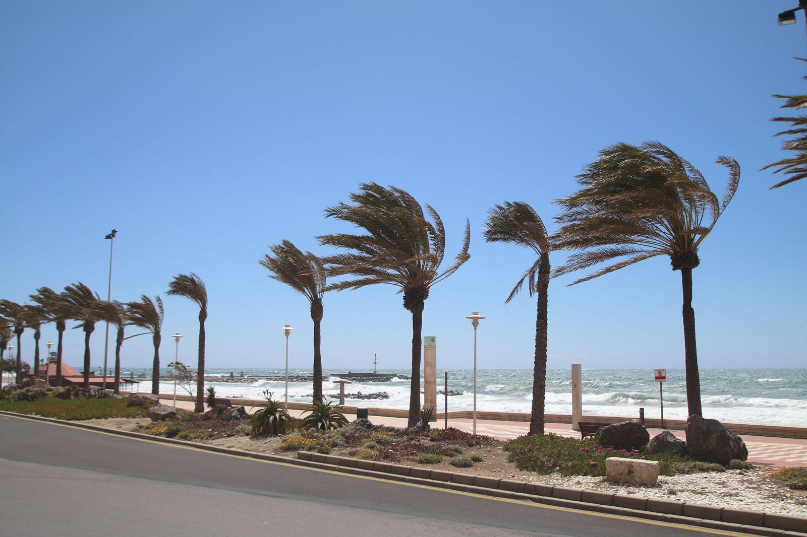 Fuertes rachas de viento en el paseo marítimo de Almería capital.