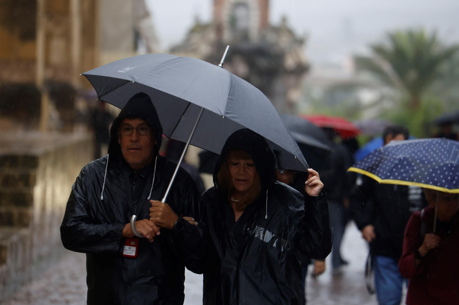 Los últimos coletazos de la borrasca Claudia a su paso por Córdoba