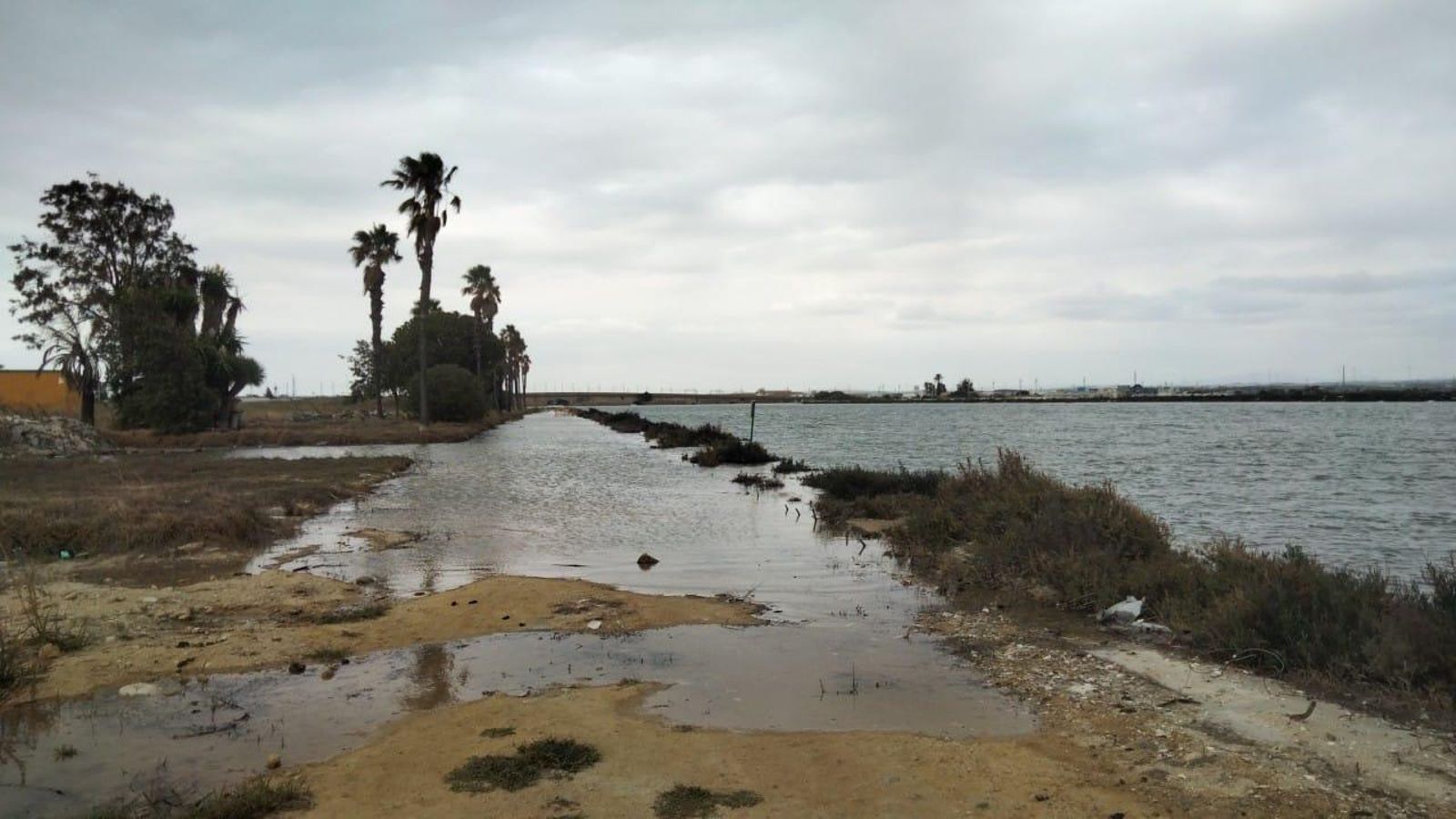 Terrenos de La Magdalena, en San Fernando, donde también se ha dejado notar la marea viva