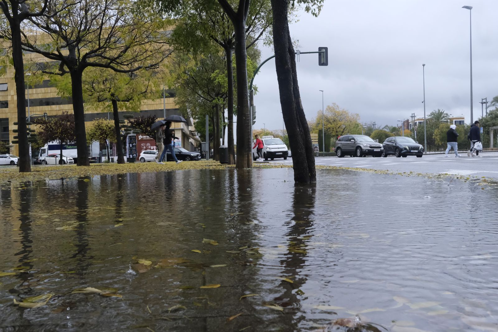 Las imágenes de la tromba de agua que ha caído en Córdoba este viernes