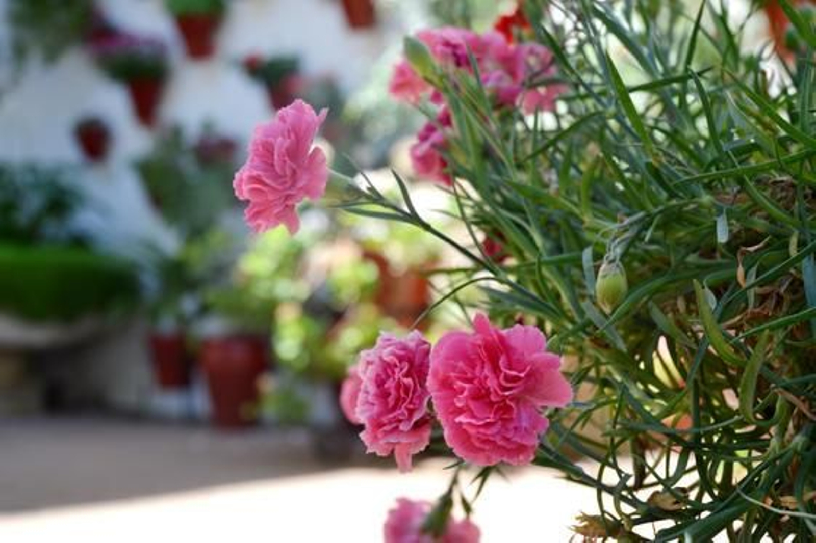 Foto: Macarena Gassin