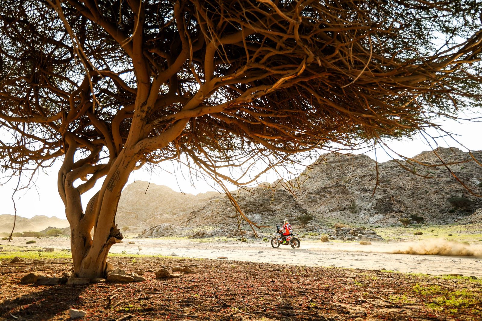 Las mejores fotos del Rally Dakar | Primera etapa