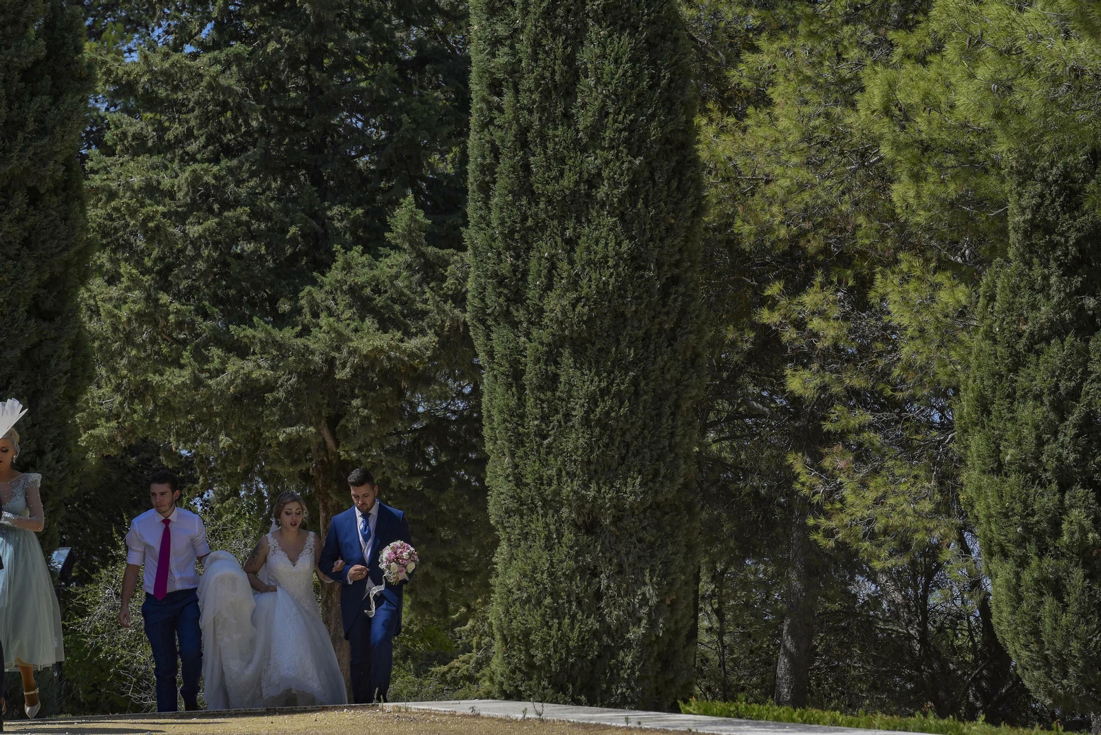 Estepa, en imágenes