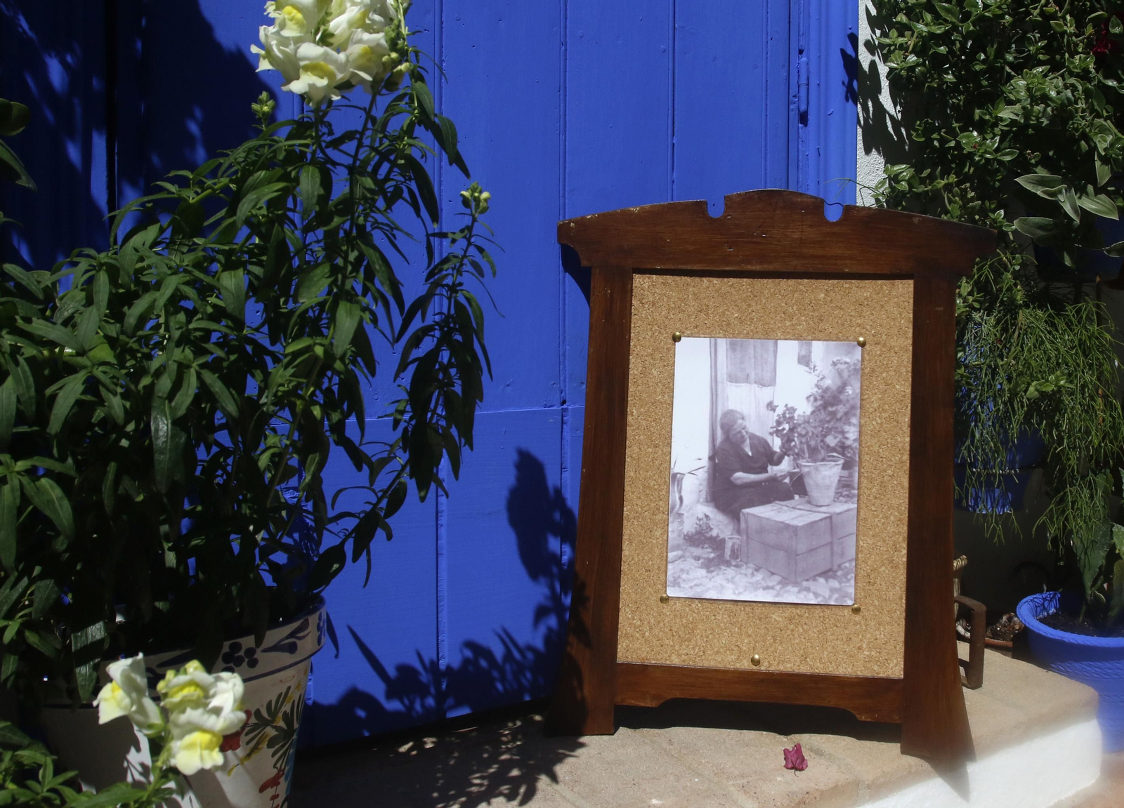 Ruta San Lorenzo de los Patios de Córdoba, en imágenes