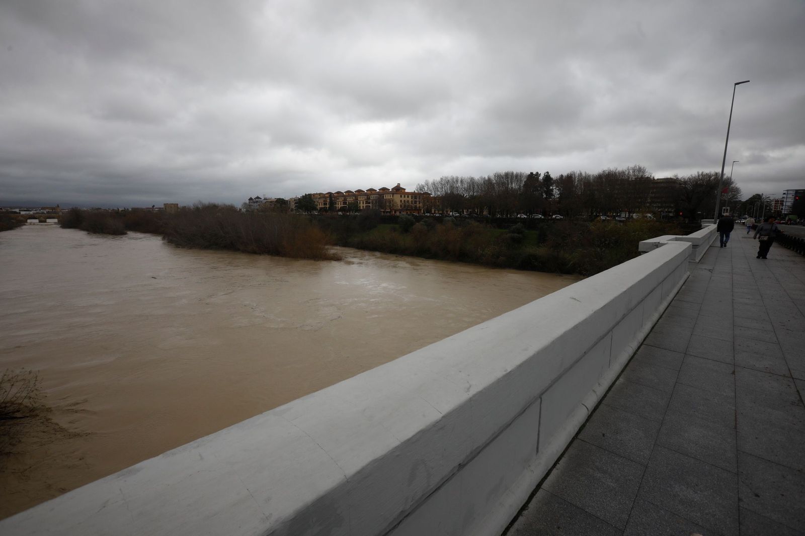 El río Guadalquivir a su paso por Córdoba tras la borrasca Kristin