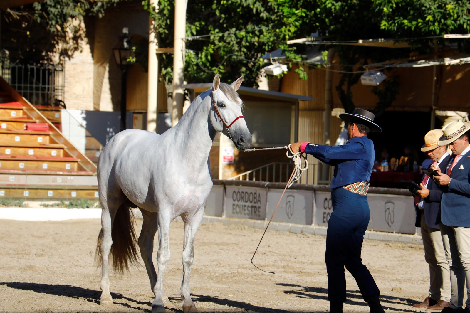Cabalcor Cabalcor