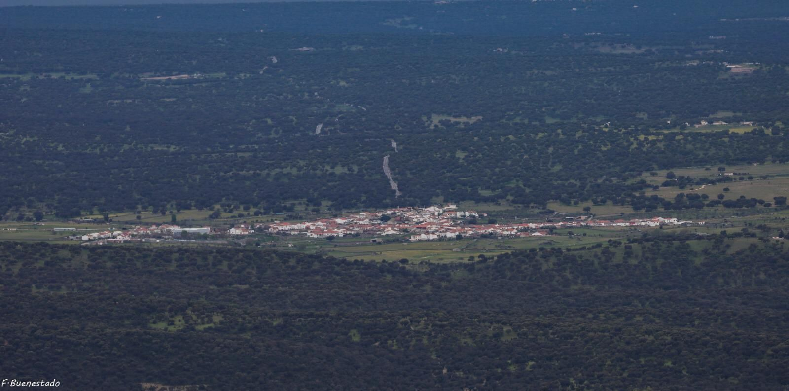 Las fotografías de la primavera en Los Pedroches