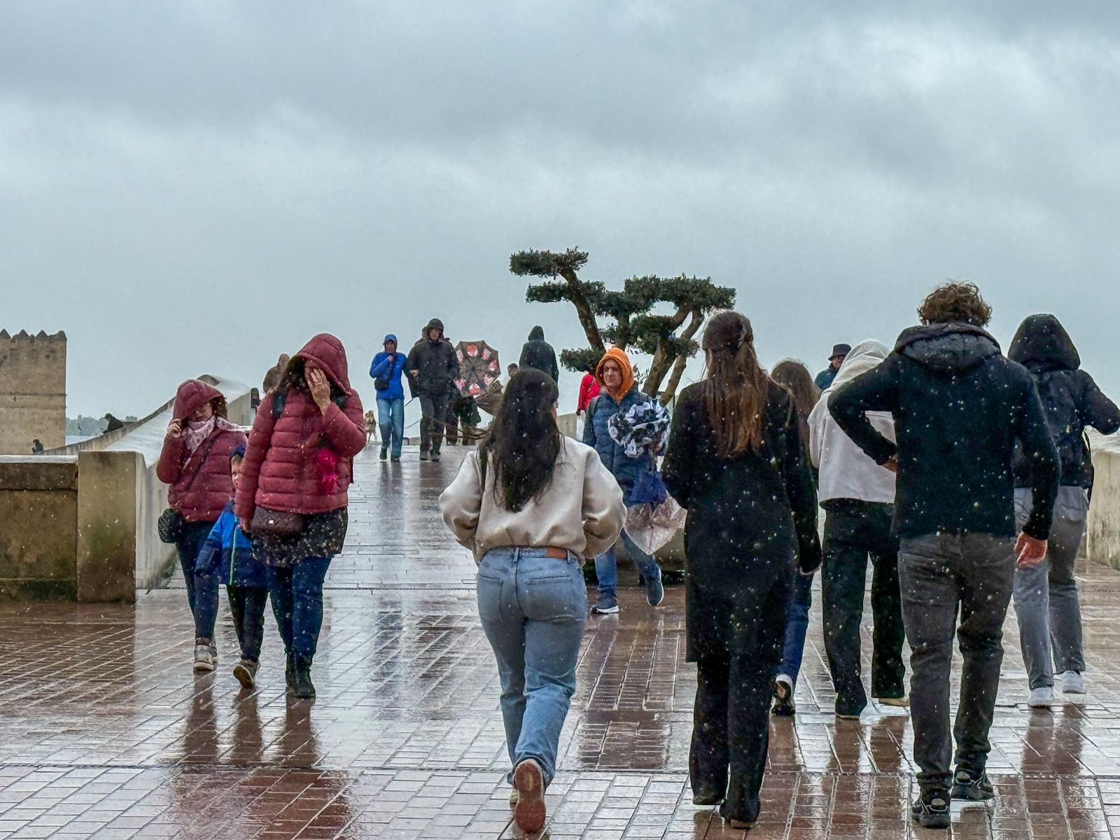Las fuertes rachas de viento y la lluvia dejan las calles de Córdoba vacías