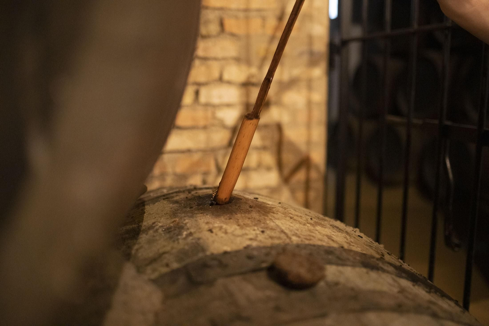 Imágenes de la vendimia en el Condado de Huelva