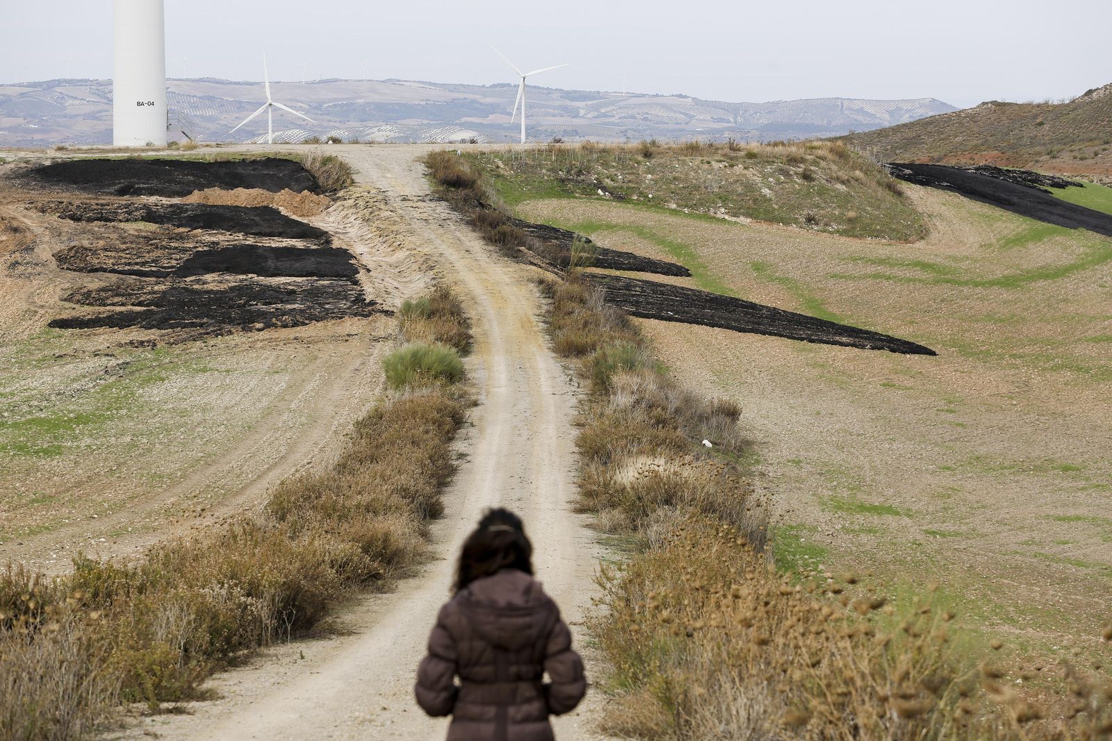 Lodos depositados en el entorno de un parque eólico de Campillos el pasado mes de noviembre.