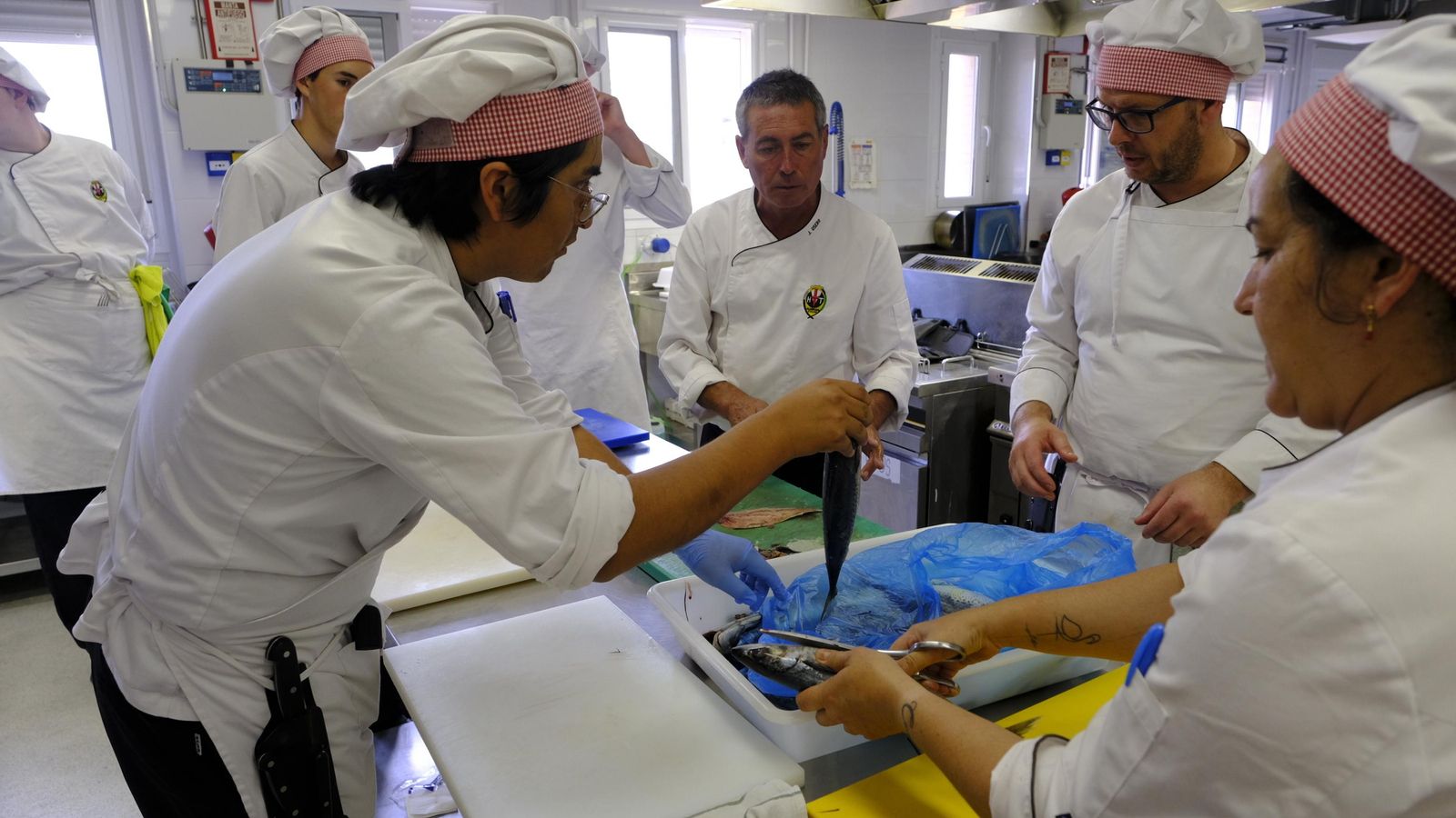 Un grupo de alumnos limpiando caballas frescas.