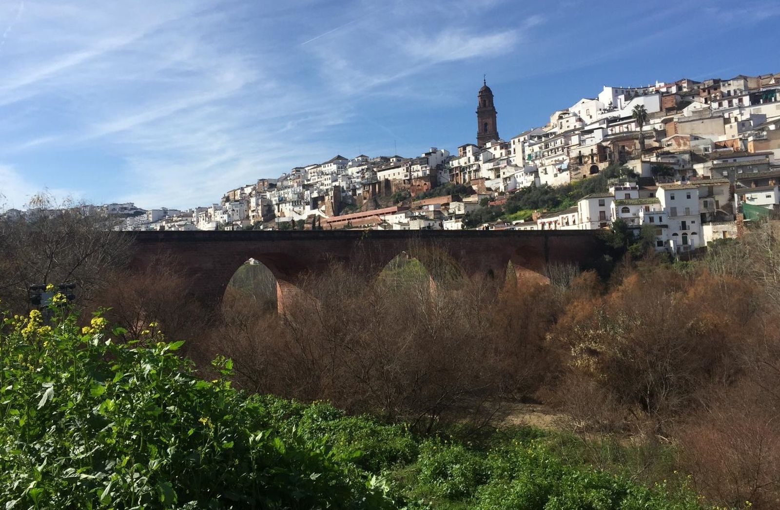 Vista panorámica de Montoro.