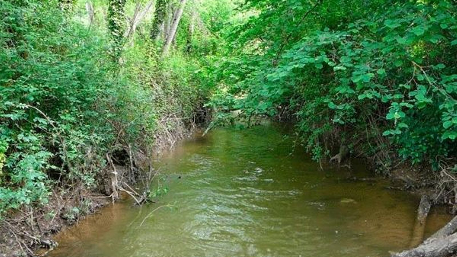 Sendero Castaño del Robledo - Galaroza