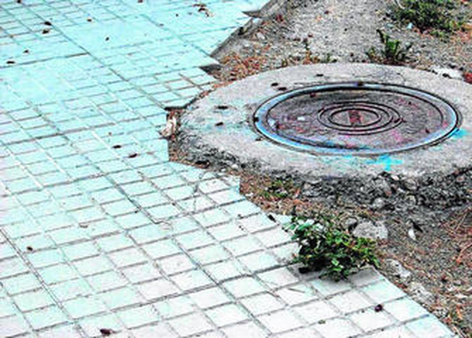 Detalle de una de las zonas en las que decidió fumigar ayer el Ayuntamiento.