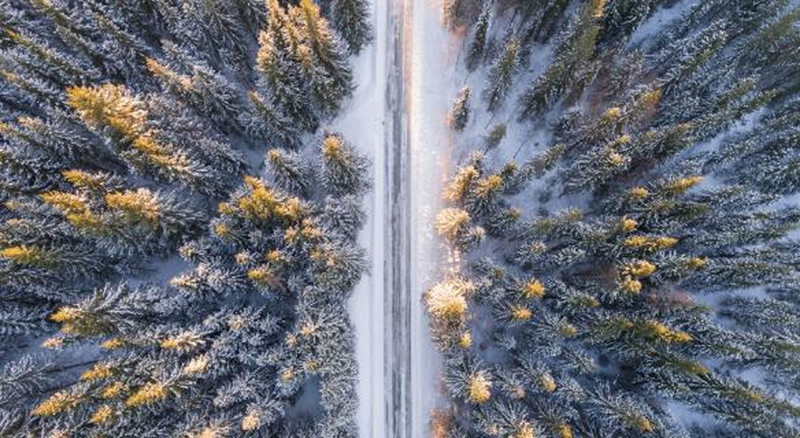 ¿Dónde guardo mis neumáticos?