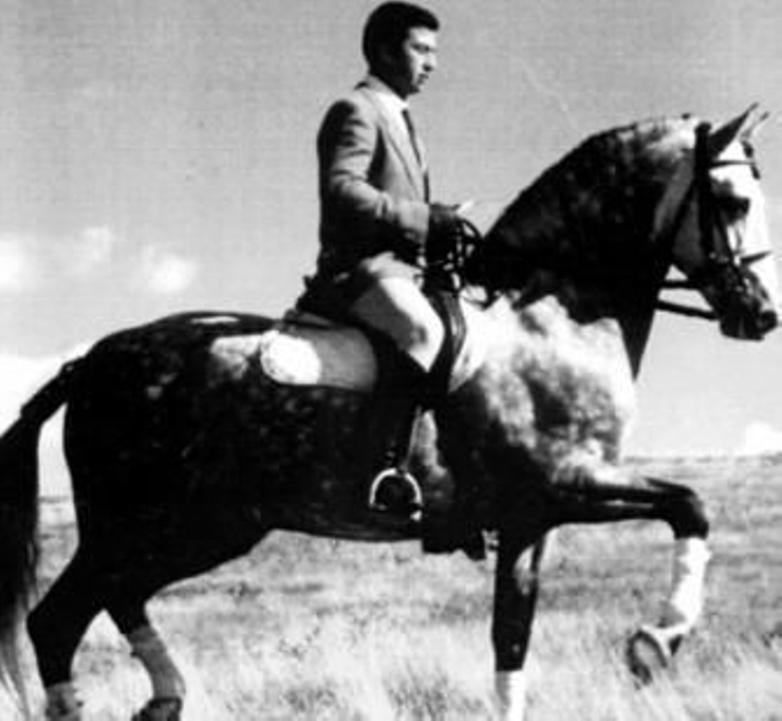 Imagen de 'Binguero'.