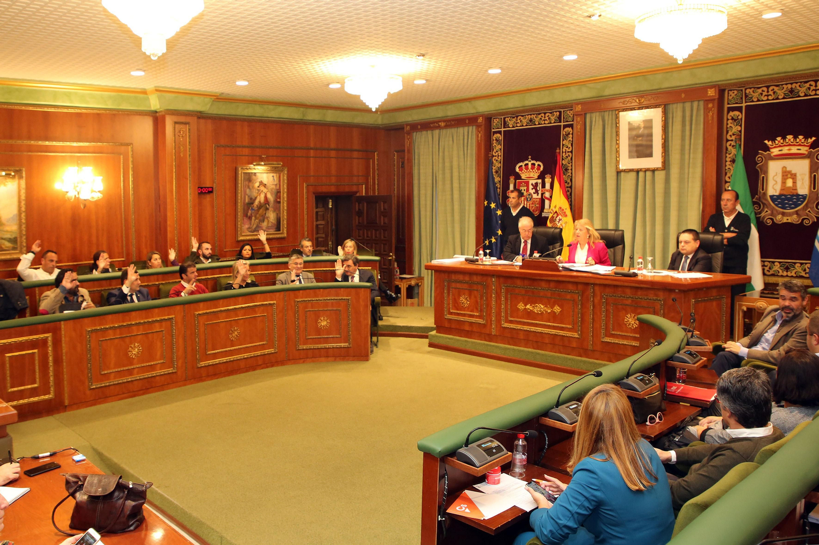 Un momento del pleno celebrado en Marbella.