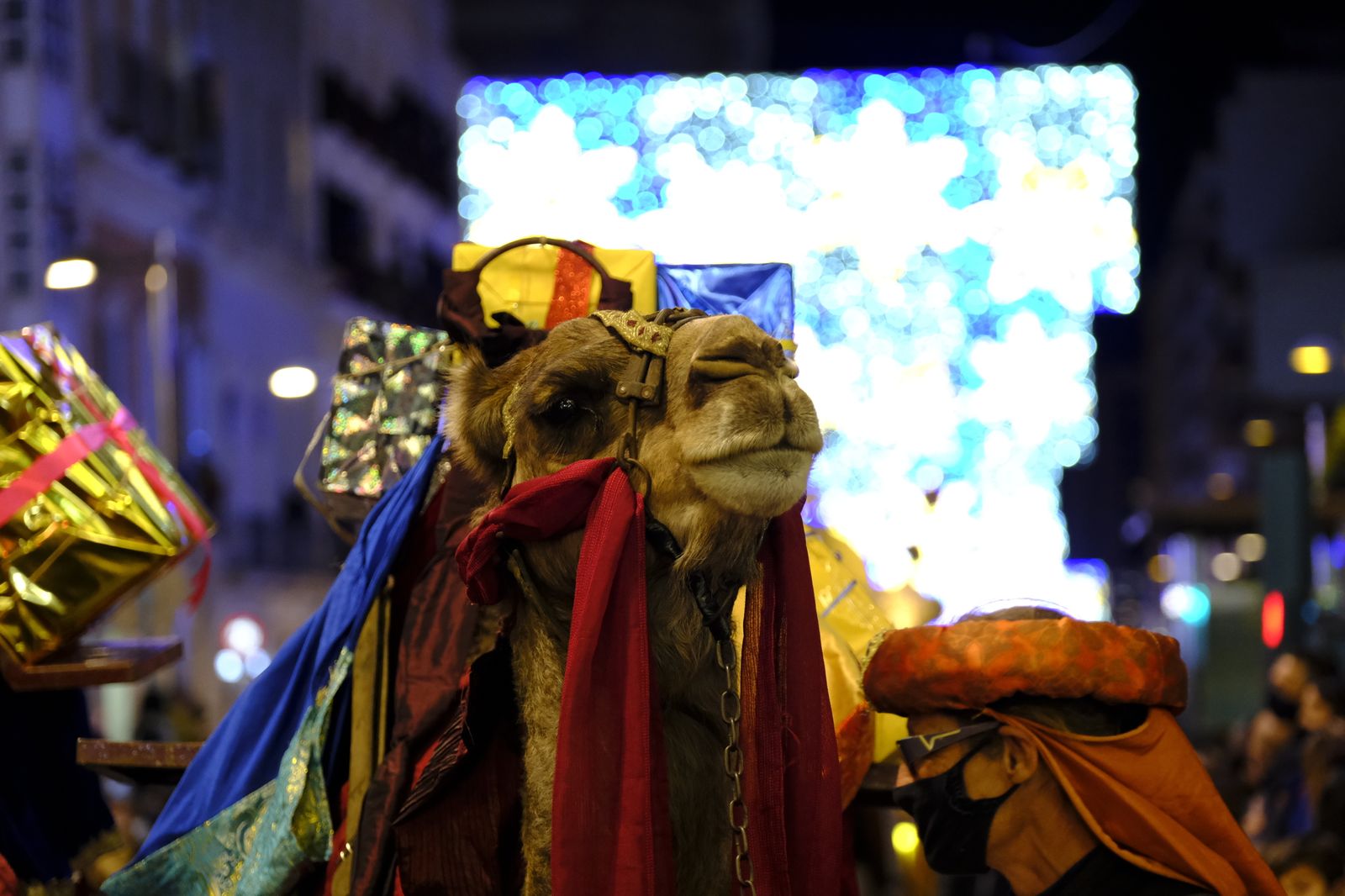 Fotogalería cabalgata de los Reyes Magos en Almería