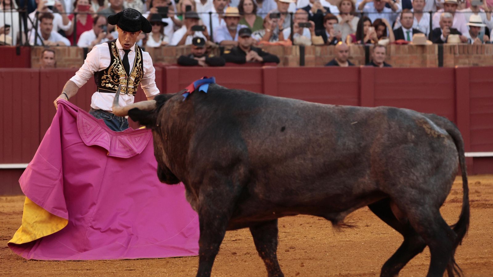 Manuel Escribano con el capote, después de recibir al sexto Victorino a porta gayola. Manuel Escribano con el capote, después de recibir al sexto Victorino a porta gayola.