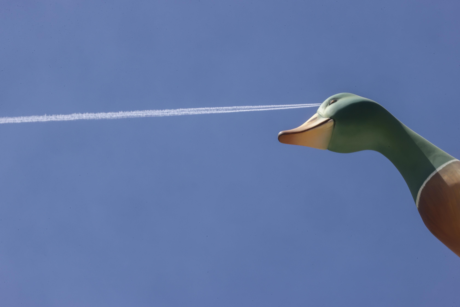 Imágenes de los mejores 'ninots' de las Fallas de Valencia 2023