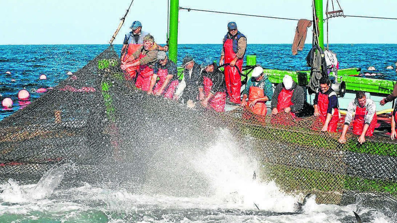 Instante de la captura de atunes por Petaca Chico.