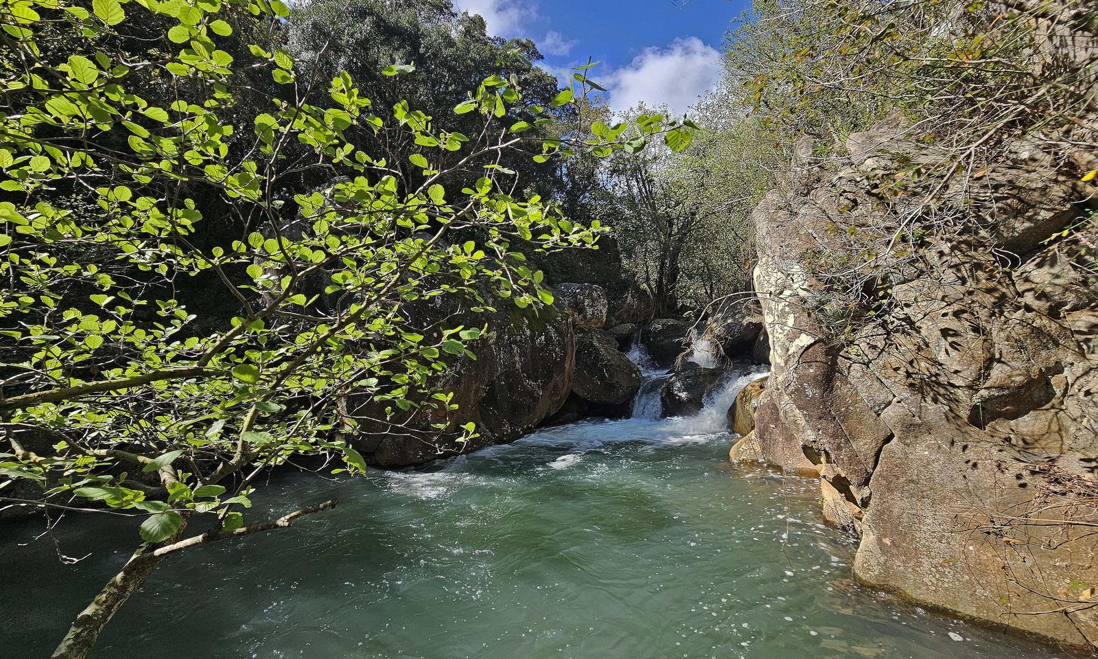 Fotos del río de la Miel tras las borrascas de marzo