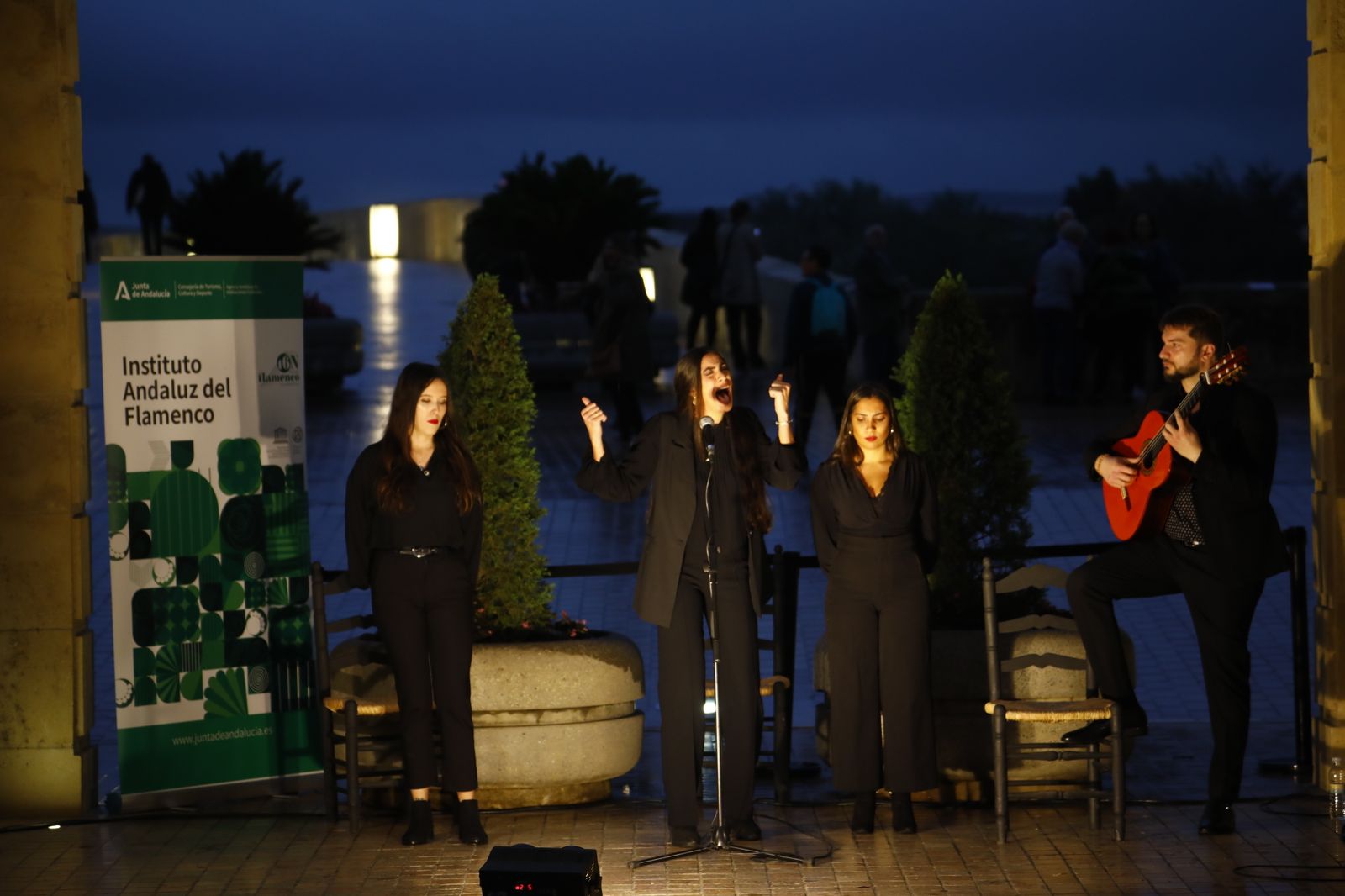 La celebración del Día Internacional del Flamenco en Córdoba, en imágenes