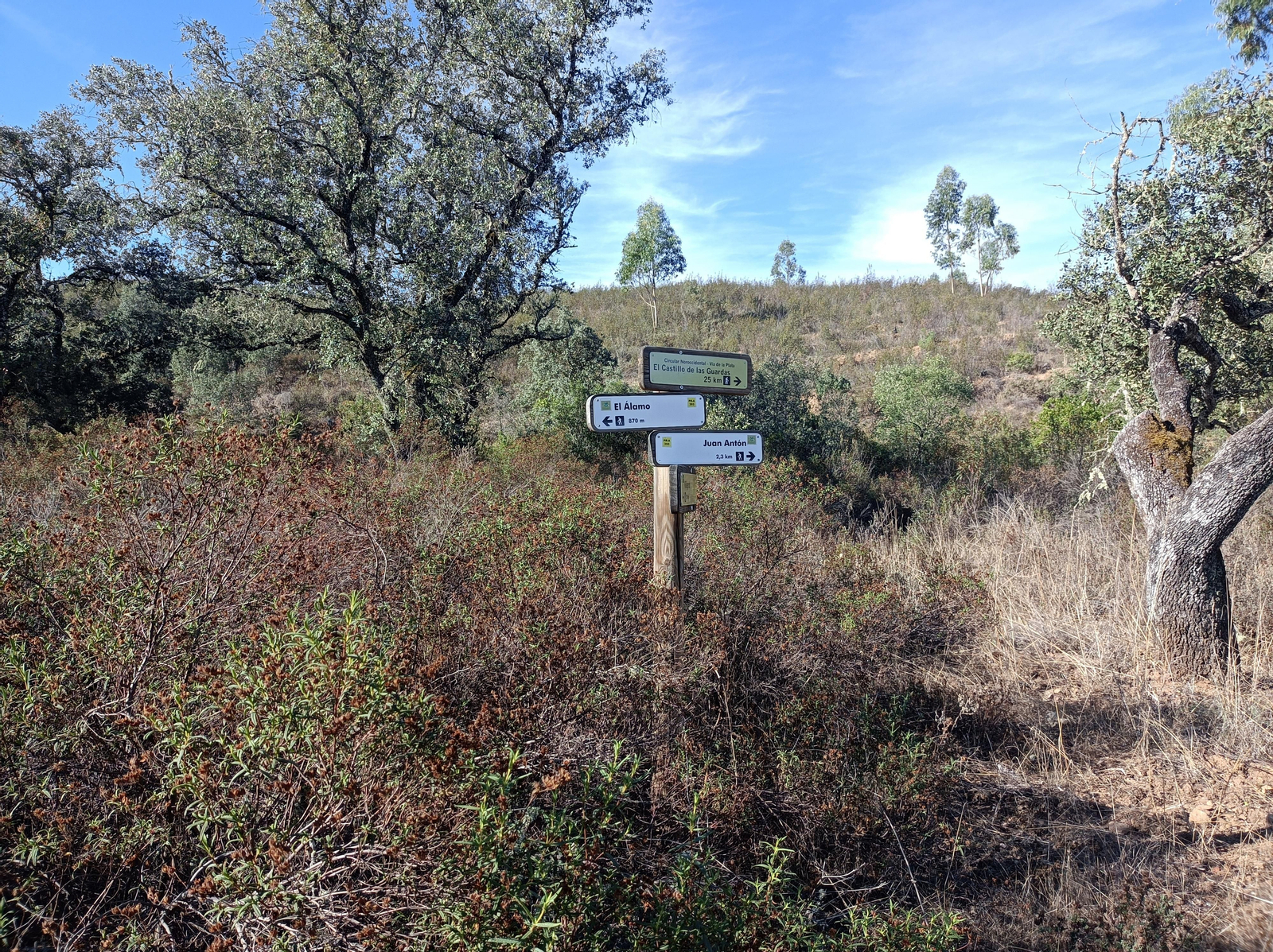 Cruce que marca dónde queda El Álamo.