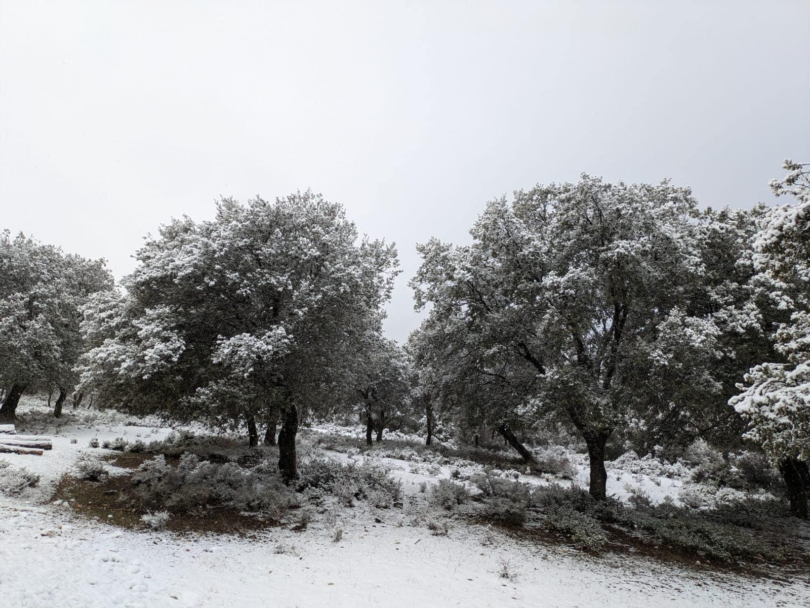 La nieve llega hasta las zonas más altas de la sierra jiennense, en imágenes